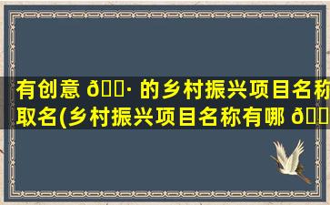 有创意 🌷 的乡村振兴项目名称取名(乡村振兴项目名称有哪 🍀 些)